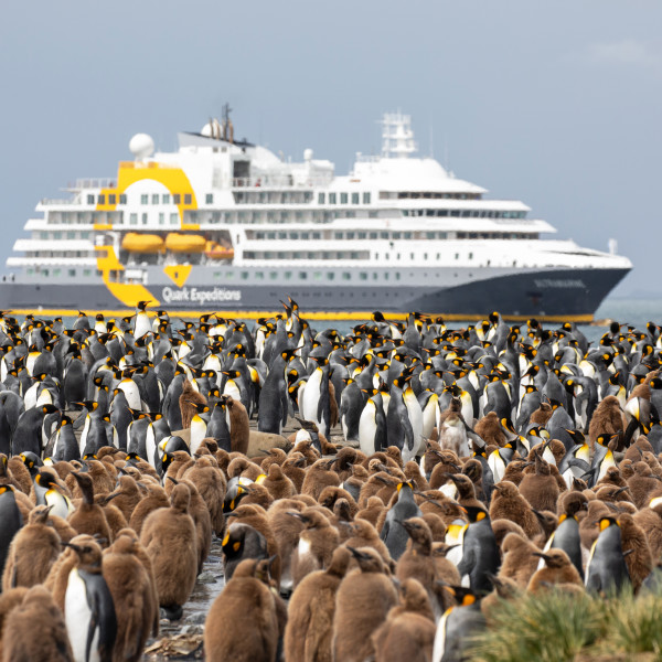 Quark Expeditions polar expedition ship